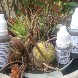 NeuroLixir ~ Cognition Enhancer