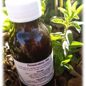 RespiraTea ~ Respiratory Tea