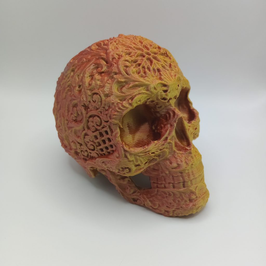 Exquisite Detail Skull